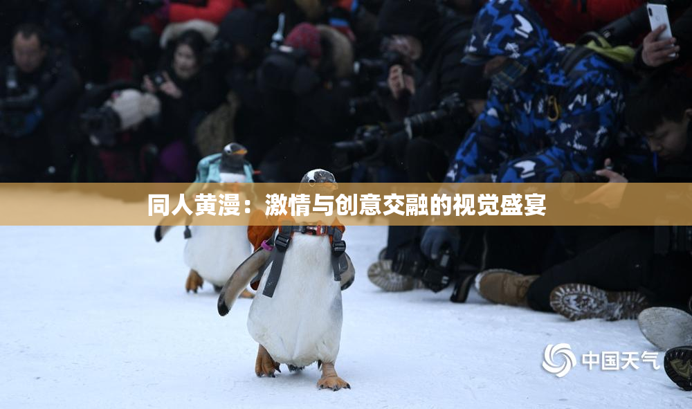 同人黄漫：激情与创意交融的视觉盛宴