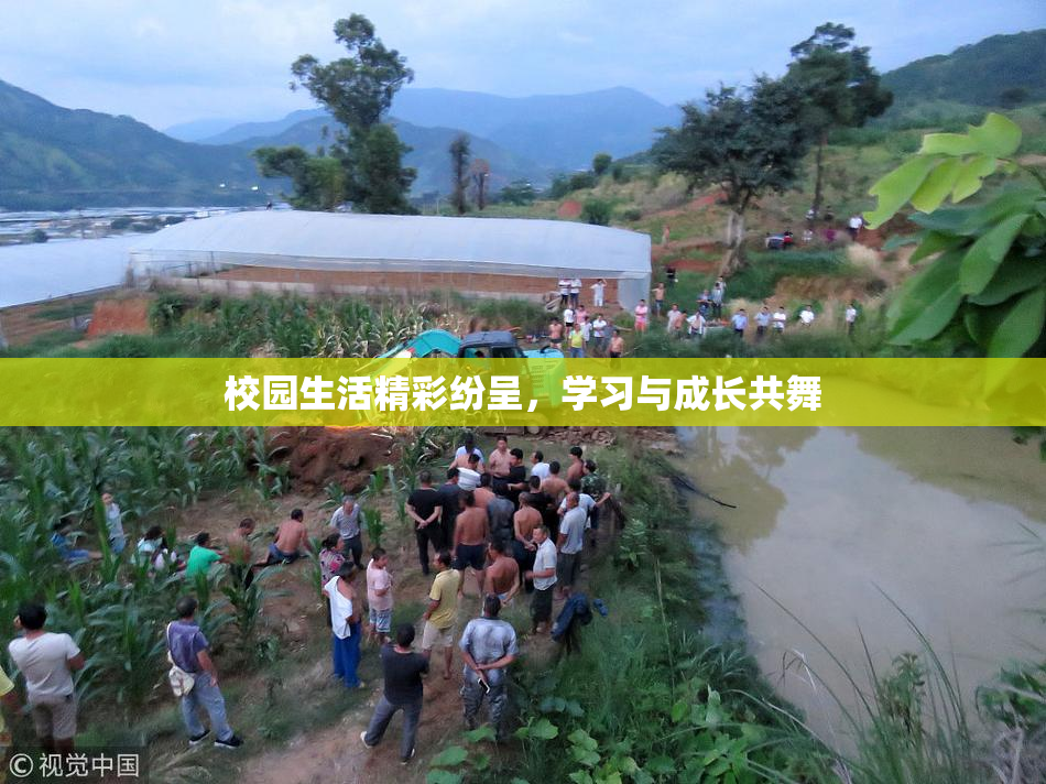 校园生活精彩纷呈，学习与成长共舞