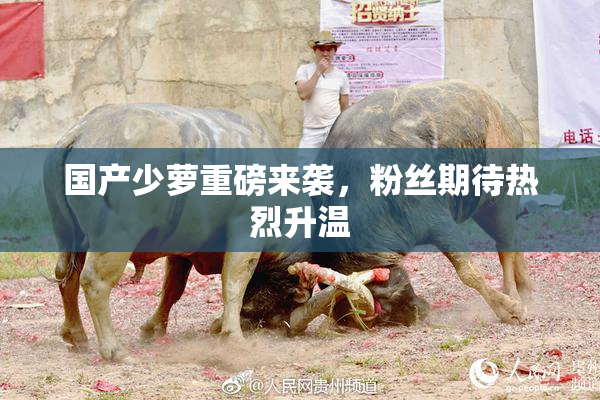 国产少萝重磅来袭，粉丝期待热烈升温