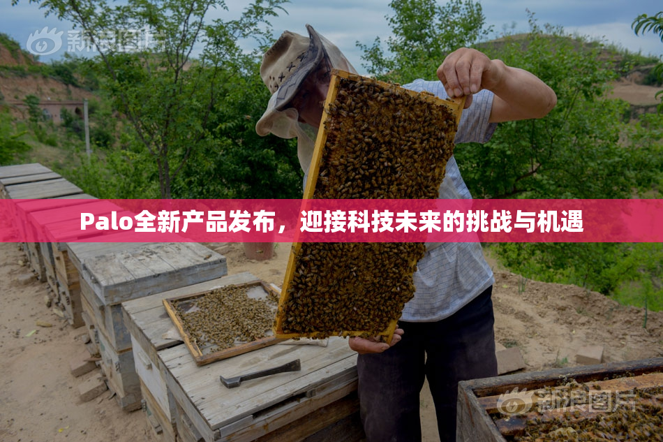 Palo全新产品发布，迎接科技未来的挑战与机遇