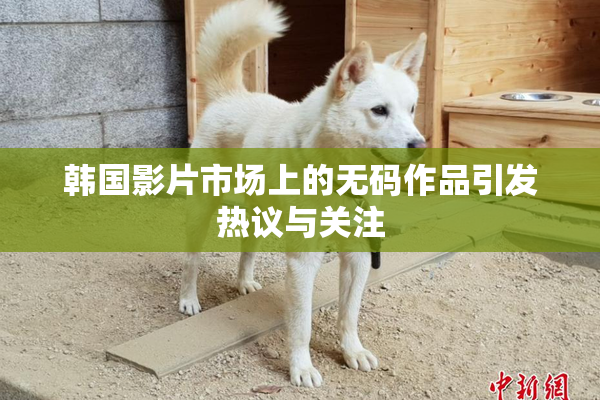 韩国影片市场上的无码作品引发热议与关注