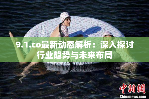 9.1.co最新动态解析：深入探讨行业趋势与未来布局