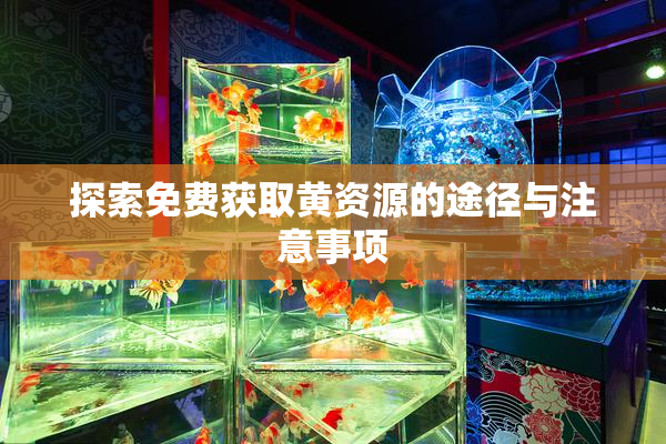 探索免费获取黄资源的途径与注意事项