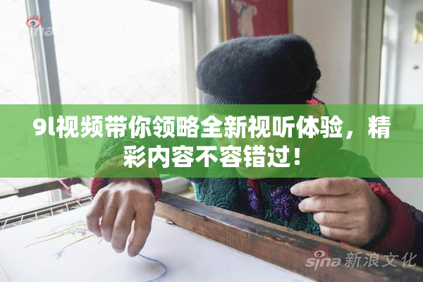 9l视频带你领略全新视听体验，精彩内容不容错过！