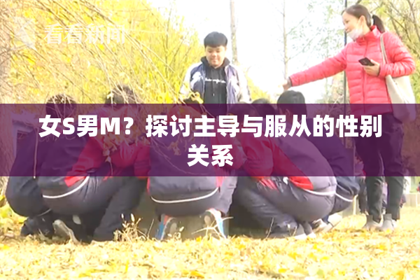 女S男M？探讨主导与服从的性别关系