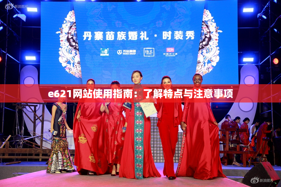 e621网站使用指南：了解特点与注意事项