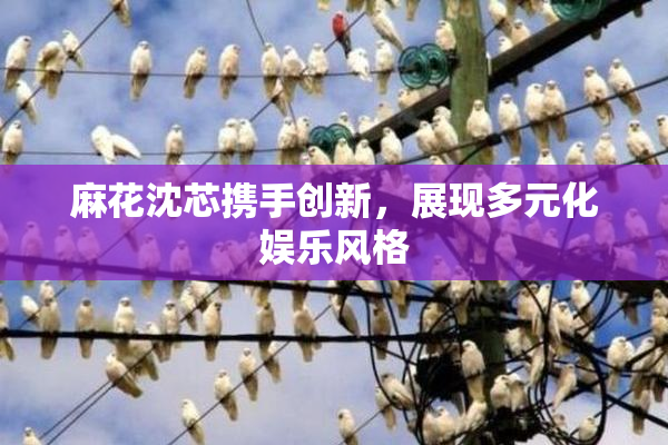 麻花沈芯携手创新，展现多元化娱乐风格