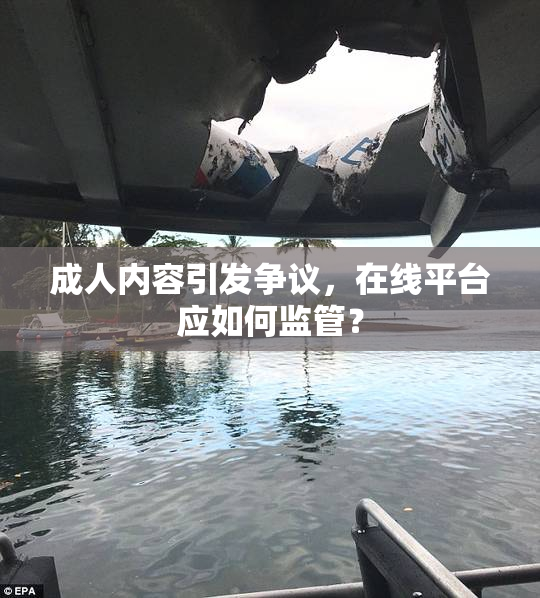 成人内容引发争议，在线平台应如何监管？