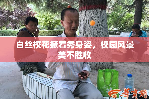 白丝校花撅着秀身姿，校园风景美不胜收