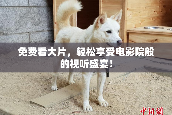 免费看大片，轻松享受电影院般的视听盛宴！