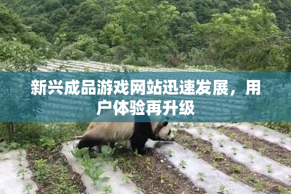 新兴成品游戏网站迅速发展，用户体验再升级