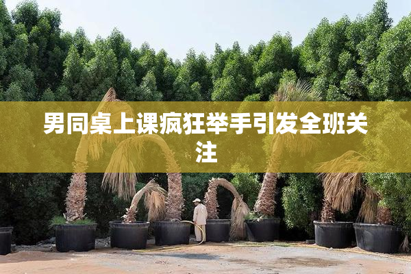 男同桌上课疯狂举手引发全班关注