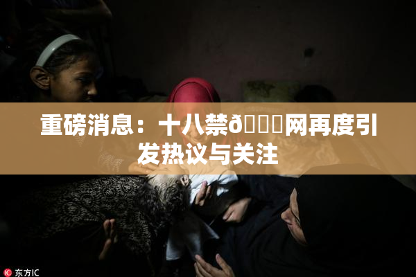 重磅消息：十八禁🔞网再度引发热议与关注
