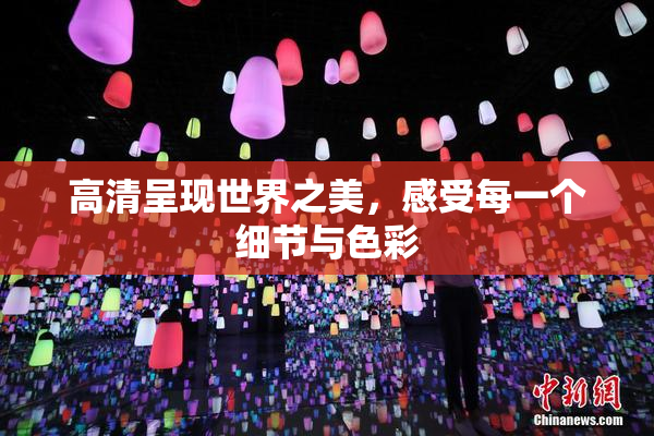 高清呈现世界之美，感受每一个细节与色彩