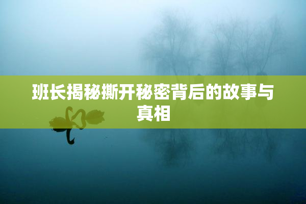 班长揭秘撕开秘密背后的故事与真相