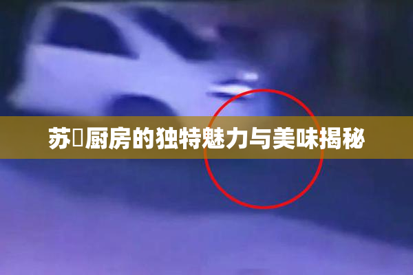 苏玥厨房的独特魅力与美味揭秘