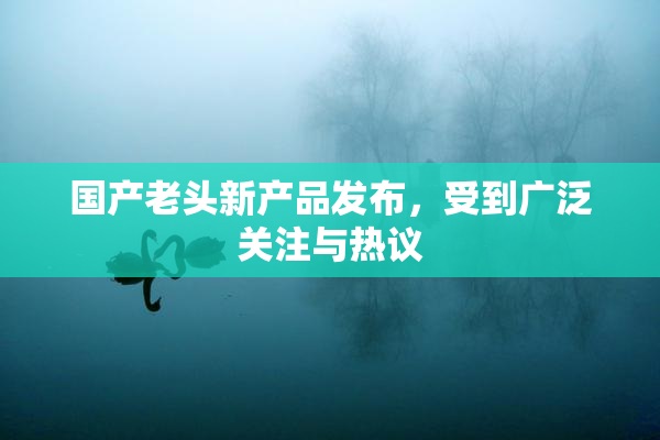 国产老头新产品发布，受到广泛关注与热议