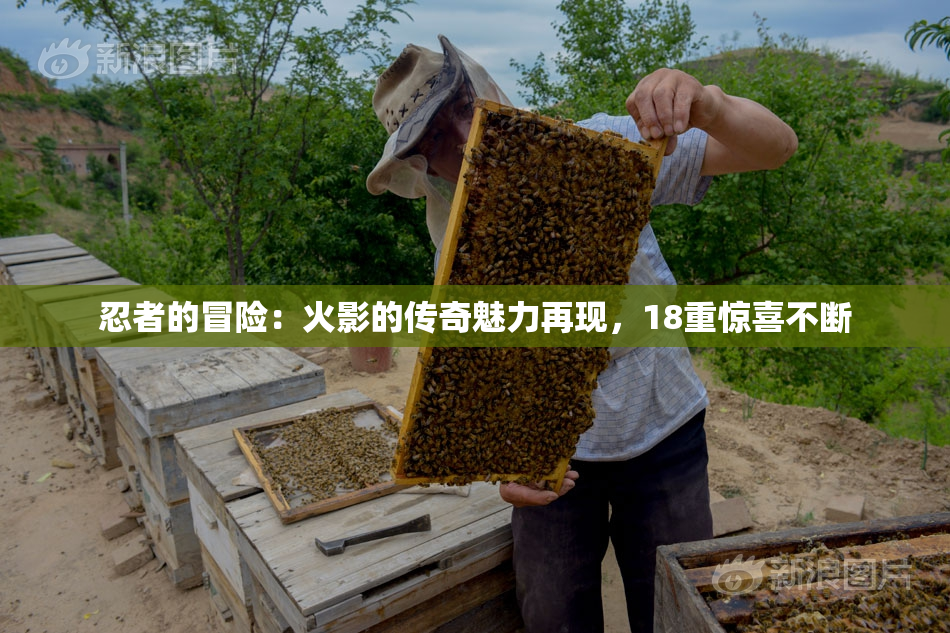 忍者的冒险：火影的传奇魅力再现，18重惊喜不断