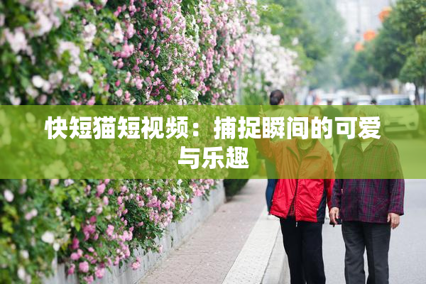 快短猫短视频：捕捉瞬间的可爱与乐趣