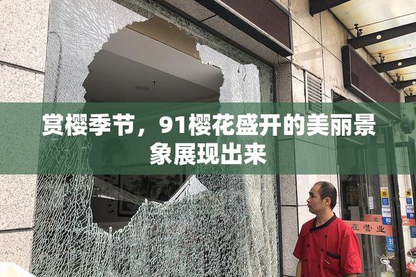 赏樱季节，91樱花盛开的美丽景象展现出来