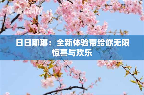 日日耶耶：全新体验带给你无限惊喜与欢乐