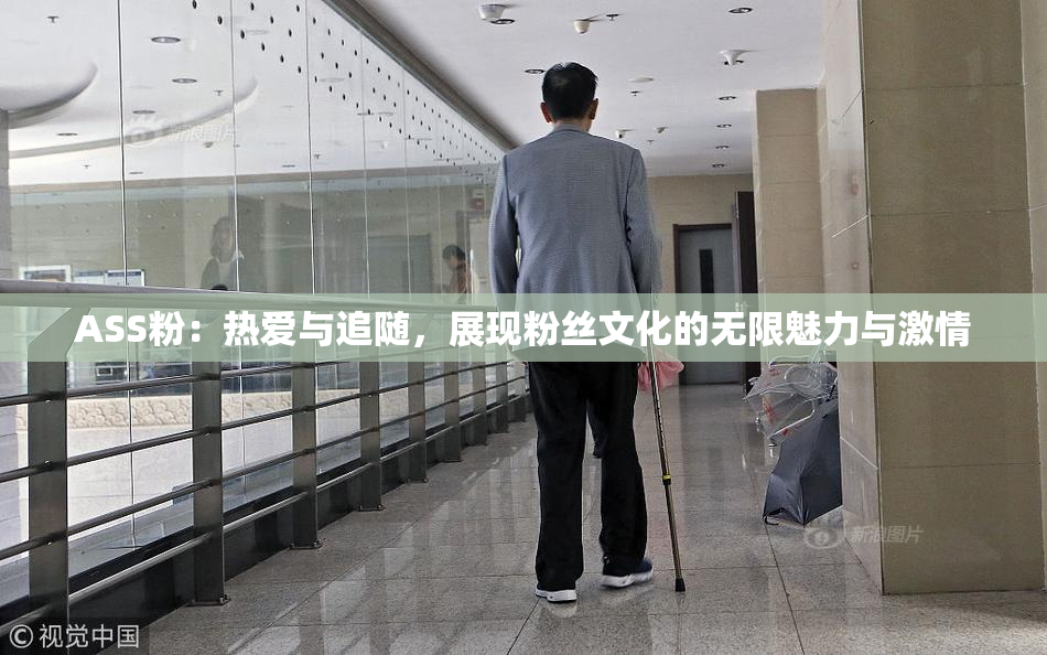 ASS粉：热爱与追随，展现粉丝文化的无限魅力与激情