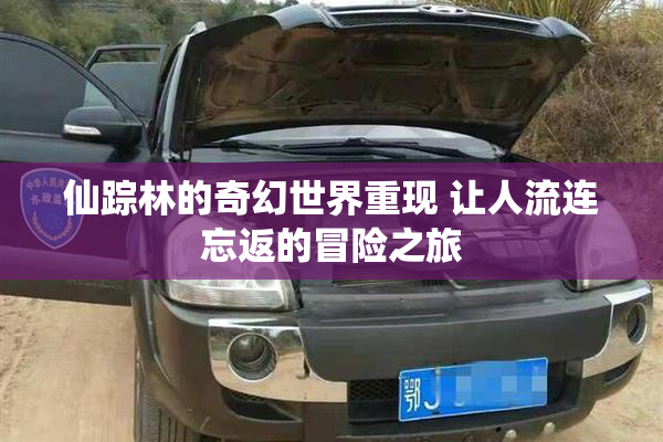 仙踪林的奇幻世界重现 让人流连忘返的冒险之旅