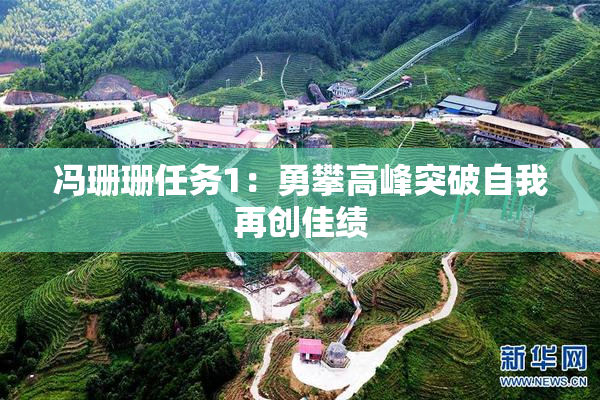 冯珊珊任务1：勇攀高峰突破自我再创佳绩