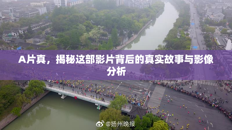 A片真，揭秘这部影片背后的真实故事与影像分析