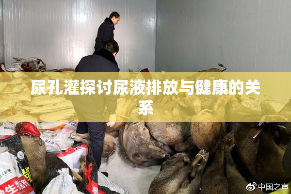 尿孔灌探讨尿液排放与健康的关系