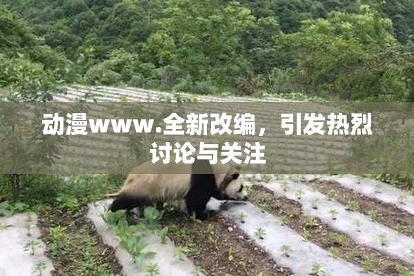 动漫www.全新改编，引发热烈讨论与关注