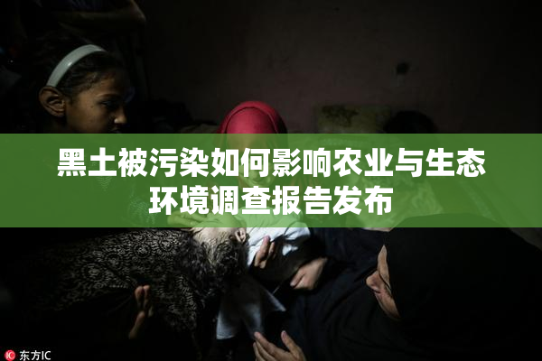 黑土被污染如何影响农业与生态环境调查报告发布