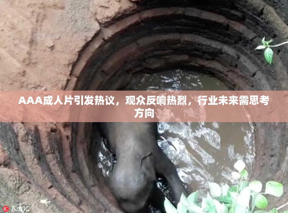 AAA成人片引发热议，观众反响热烈，行业未来需思考方向