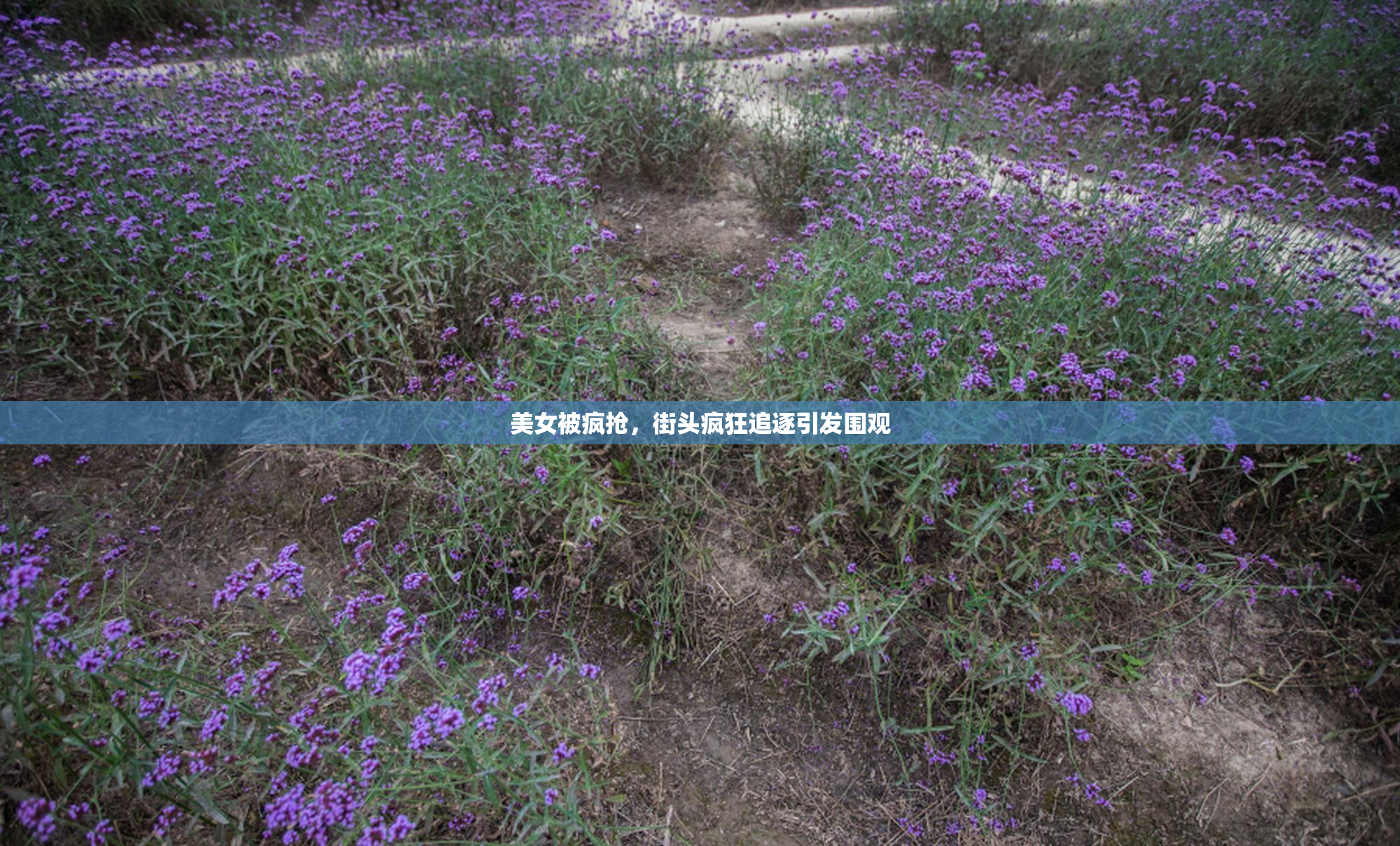 美女被疯抢，街头疯狂追逐引发围观