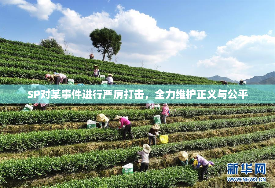 SP对某事件进行严厉打击，全力维护正义与公平