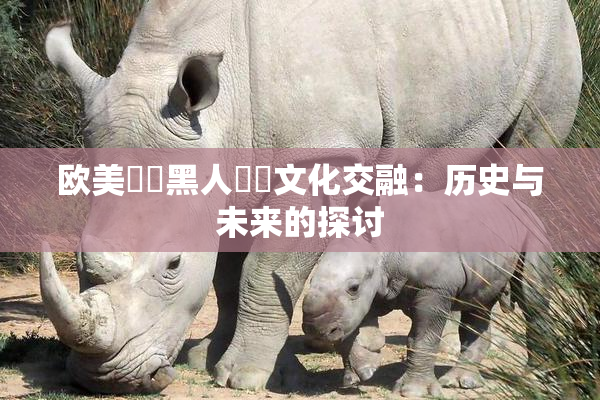 欧美❌‌黑人❌‌文化交融：历史与未来的探讨