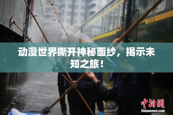 动漫世界撕开神秘面纱，揭示未知之旅！