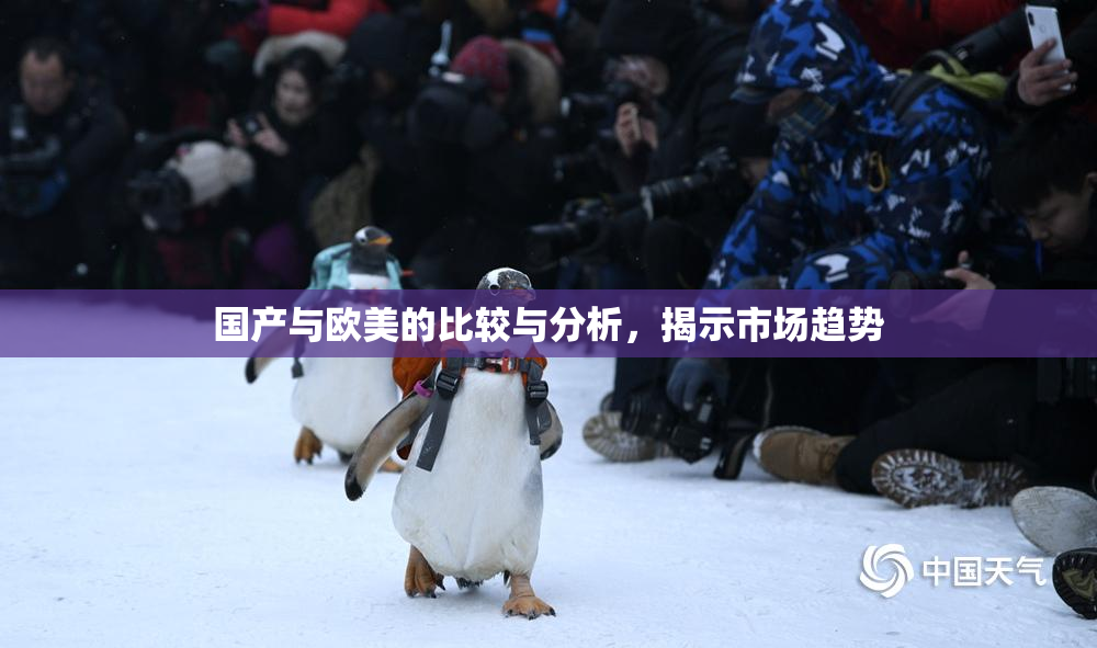 国产与欧美的比较与分析，揭示市场趋势