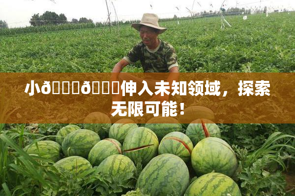 小🐔🐔伸入未知领域，探索无限可能！