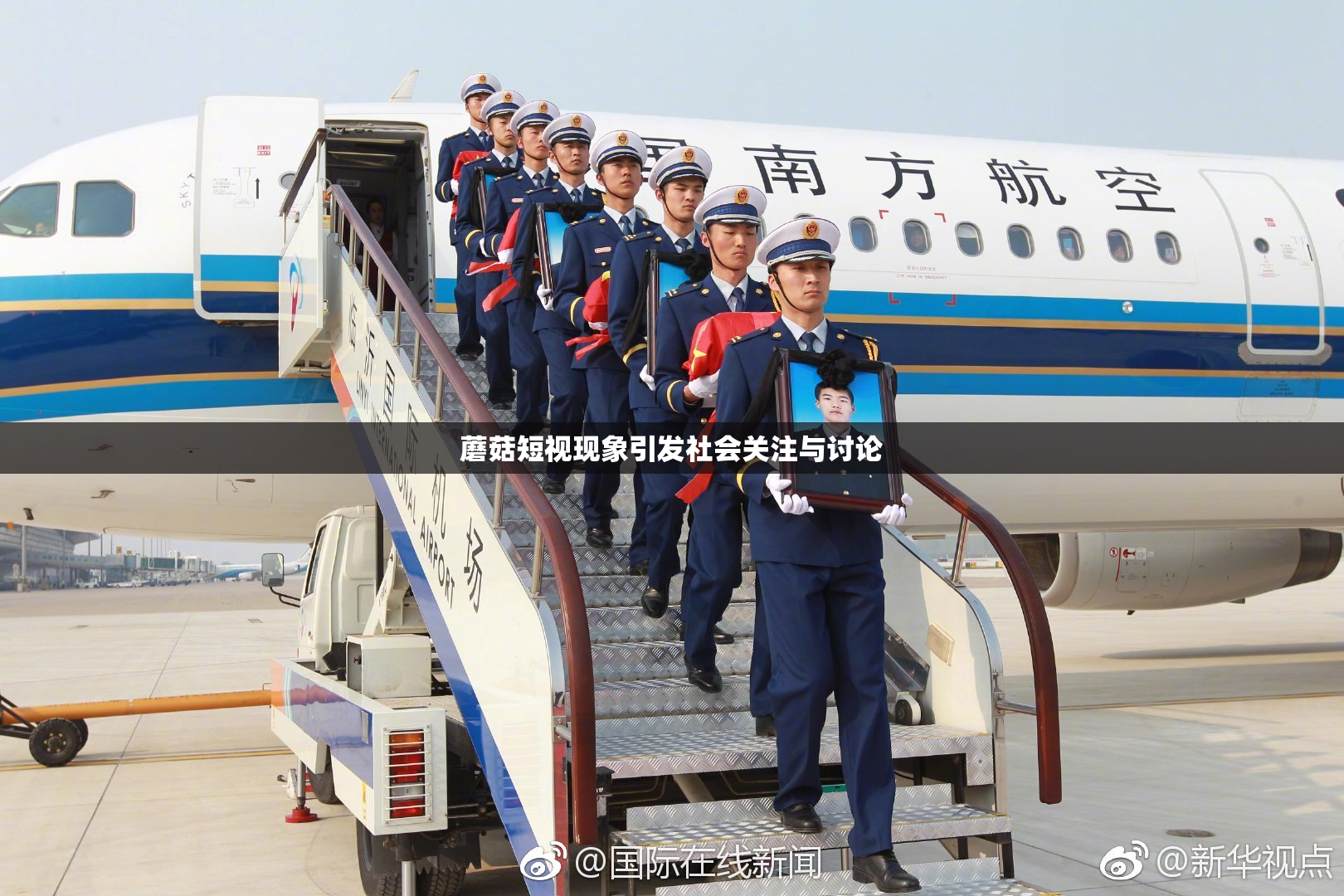 蘑菇短视现象引发社会关注与讨论