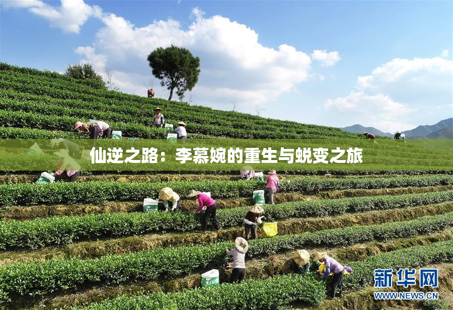 仙逆之路：李慕婉的重生与蜕变之旅