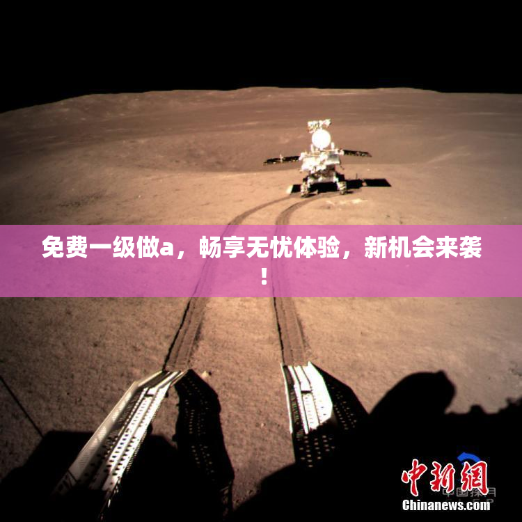 免费一级做a，畅享无忧体验，新机会来袭！