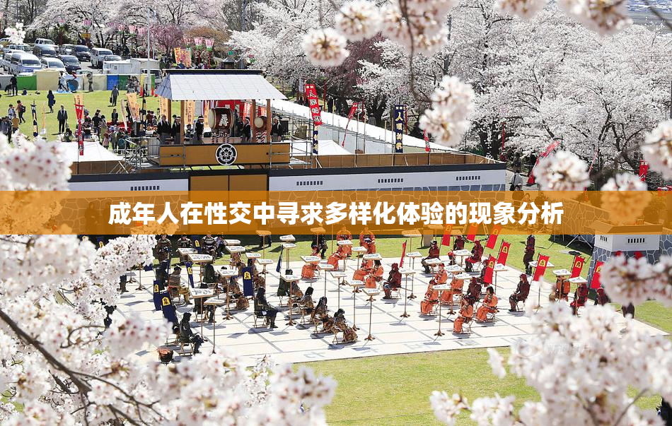 成年人在性交中寻求多样化体验的现象分析