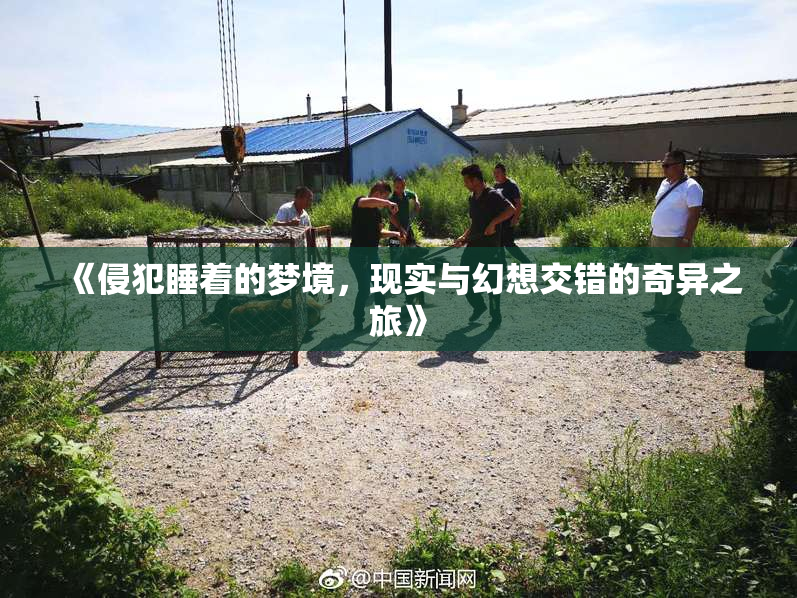 《侵犯睡着的梦境，现实与幻想交错的奇异之旅》