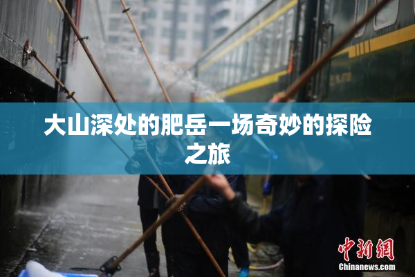 大山深处的肥岳一场奇妙的探险之旅