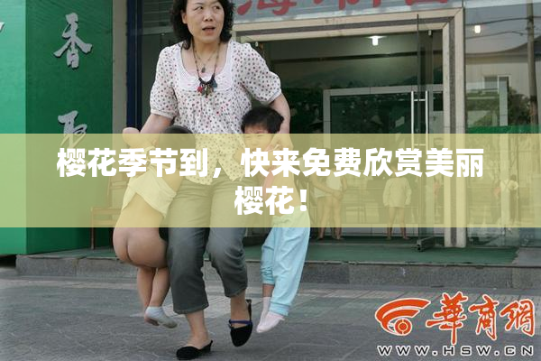 樱花季节到，快来免费欣赏美丽樱花！