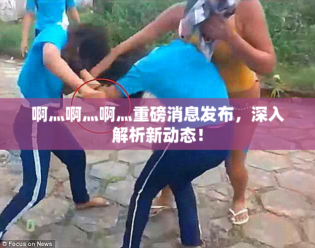 啊灬啊灬啊灬重磅消息发布，深入解析新动态！