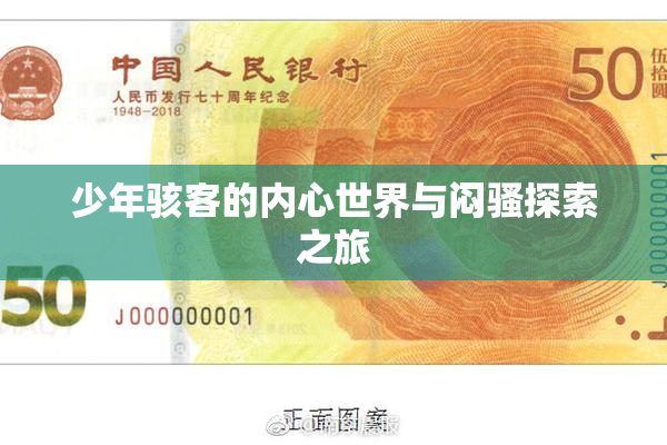 少年骇客的内心世界与闷骚探索之旅