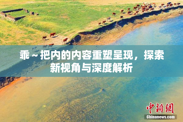乖～把内的内容重塑呈现，探索新视角与深度解析