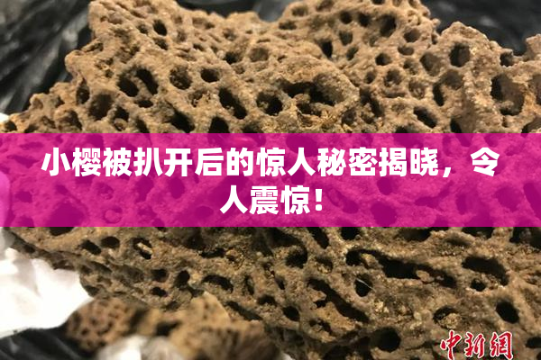 小樱被扒开后的惊人秘密揭晓，令人震惊！